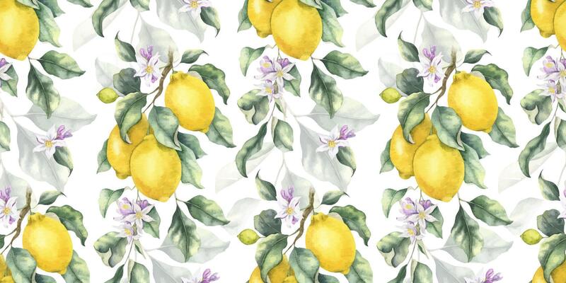 Lemon Branches with fruits, flowers and leaves. Hand drawn watercolor seamless pattern. Print of Tropical citrus fruit. Background for menu, package, cosmetic, textile, cards