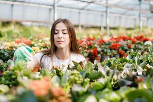 Young woman florist spraying water on houseplants in flower pots by sprayer. Closeup of female gardener sprinkles flowers using spray bottle. photo