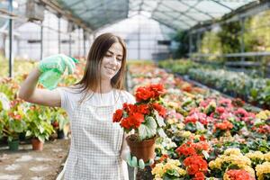 Young woman florist spraying water on houseplants in flower pots by sprayer. Closeup of female gardener sprinkles flowers using spray bottle. photo