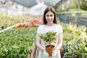 Woman holds a pot of flowers in her hands, growing plants for sale, plant as a gift, flowers in a greenhouse, potted plant. photo