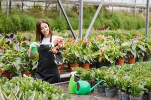 Young woman florist spraying water on houseplants in flower pots by sprayer. Closeup of female gardener sprinkles flowers using spray bottle. photo