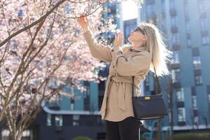 women is taking picture of blossoming cherry on mobile phone on street in spring photo