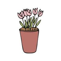 linda mano dibujado elemento de flor maceta. garabatear ilustración casa plantas vector