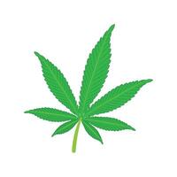 marijuana leaf icon illustration design template vector