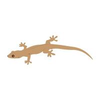 lizard icon illustration design template vector