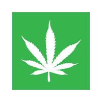 marijuana leaf icon illustration design template vector