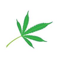 marijuana leaf icon illustration design template vector