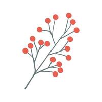 hand drawn branch of berries for winter and autumn decoration. Doodle illustration. vector
