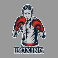 boxeo logo, patada boxeo ilustración gráfico vector