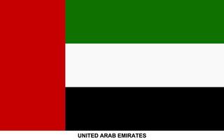 bandera de unido árabe emiratos, unido árabe emiratos nacional bandera vector