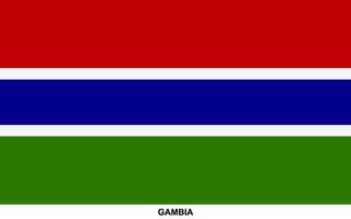 bandera de Gambia, Gambia nacional bandera vector