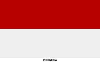 Flag of INDONESIA, INDONESIA national flag vector