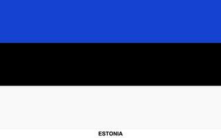 bandera de Estonia, Estonia nacional bandera vector
