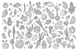 conjunto de garabatear vegetales y frutas en blanco fondo, gráficos de sano alimento. frutas y vegetales en garabatear estilo, bosquejo. ilustración para comida diseño vector