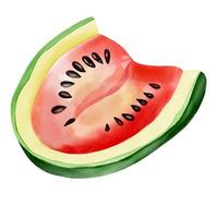 Watercolor watermelon slice. illustration. Summertime element. vector