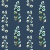 Watercolor eucalyptus pattern. Hand drawn seamless pattern with eucalyptus vector