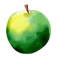 Green apple watercolor isolated on white background. illustration. Fruit element. vector