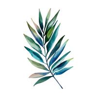 Watercolor tropical leaf. Exotic foliage. Floral illustration. Watercolor jungle vector