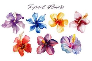 Watercolor tropical flowers. Floral illustration. Set of exotic flowers. Tropical collection vector