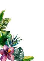 Tropical frame with exotic leaves for party invitations, posters and wedding cards. Watercolor template vector