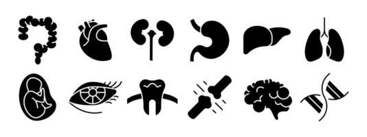 Human anatomy set icon. Intestine, heart, kidney, stomach, liver, lungs, fetus, eye, tooth, bone, brain, DNA. Medicine, biology. vector