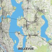 Bellevue, Washington, USA map poster art vector