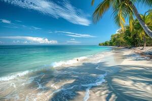 Tranquil tropical beaches with crystal-clear waters, white sands, and lush palm trees under a sunny sky photo