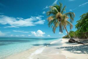 Tranquil tropical beaches with crystal-clear waters, white sands, and lush palm trees under a sunny sky photo