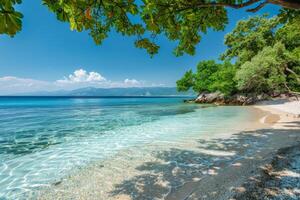 Serene seaside escapes featuring golden sands, azure waters, verdant palms, and the dance of sunlight on the sea photo