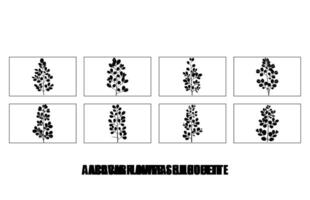 acacia hojas y flores silueta colocar. medicinal árbol rama con hojas recopilación, acacia conjunto gráfico negro y blanco flor hojas semillas vector