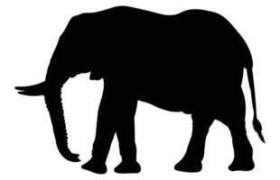 African Elephant Animal silhouette, Wild African Elephant Silhouette vector