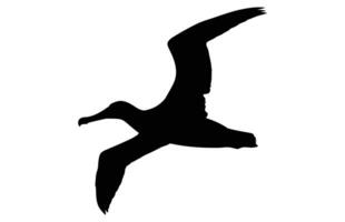 albatross silhouette, albatross silhouette black illustration vector