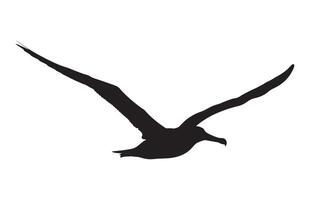 silhouettes of bird albatross, albatross bird silhouette illustration vector