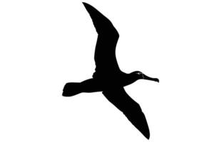 albatross silhouette free, albatross silhouette black illustration free vector