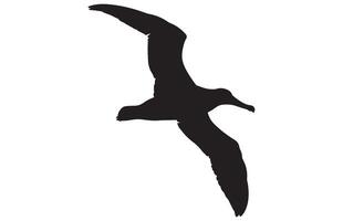 albatross silhouette illustration , silhouettes of bird albatross, vector