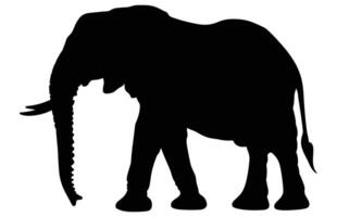 African Elephant Animal silhouette, Wild African Elephant Silhouette vector