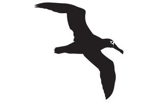 albatross silhouette illustration , silhouettes of bird albatross, vector