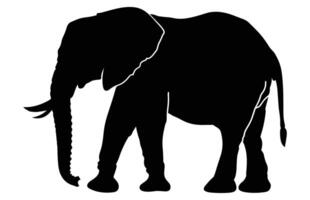 African Elephant Animal silhouette, Wild African Elephant Silhouette vector