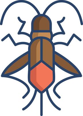 Boxelder linear color illustration