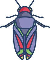 Cicadidae linear color illustration vector