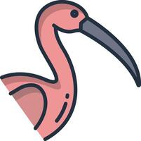 Ibis bird linear color illustration vector