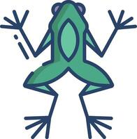 Frog linear color illustration vector