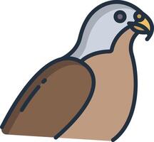 Falcon bird linear color illustration vector