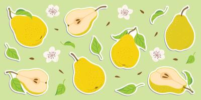 Hand drawn colorful pear stickers set, whole and cut fruit, flowers, leaves. Trendy flat style stickers for labels, posters, web. Ripe juicy pears. Vegetarian organic food illustration vector