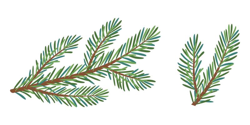 Christmas spruce branch set. Larch, Pine, spruce branch, evergreen tree, fir icon, winter plants, New Year wood, holiday decoration. Hand drawn illustration.