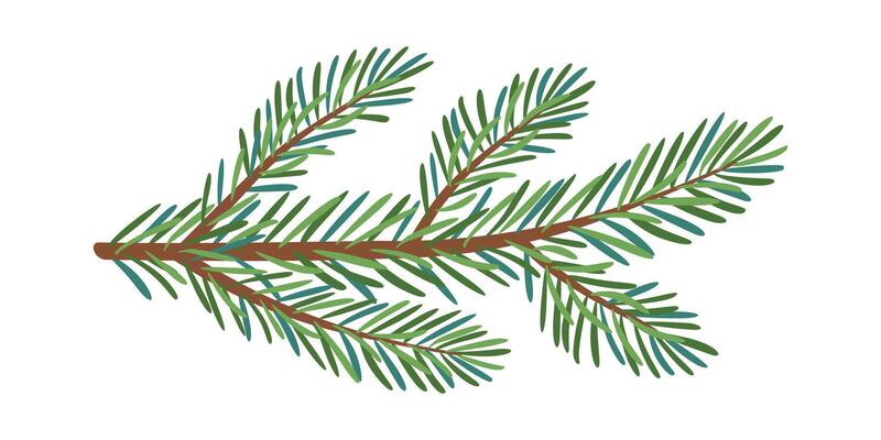 Christmas spruce branch. Larch, Pine, spruce branch, evergreen tree, fir icon, winter plants, New Year wood, holiday decoration. Hand drawn illustration.