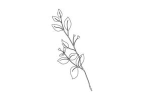 A sprig of plants with leaves on the stem botanical decorative element black and white pro illustration vector