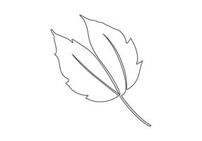 Continuous one line drawing of maple leaf isolated on white background pro illustration vector