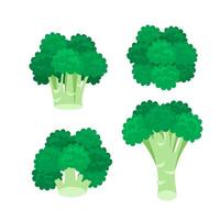 Broccoli cabbage icon set on white background. Stalk as Healthy vector