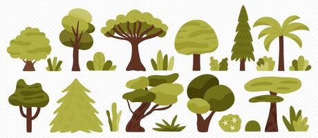 Collection of deciduous and evergreen forest plants and bushes. Botanical set of trees with leaves and lush crowns. Flat illustration isolated on white background. vector